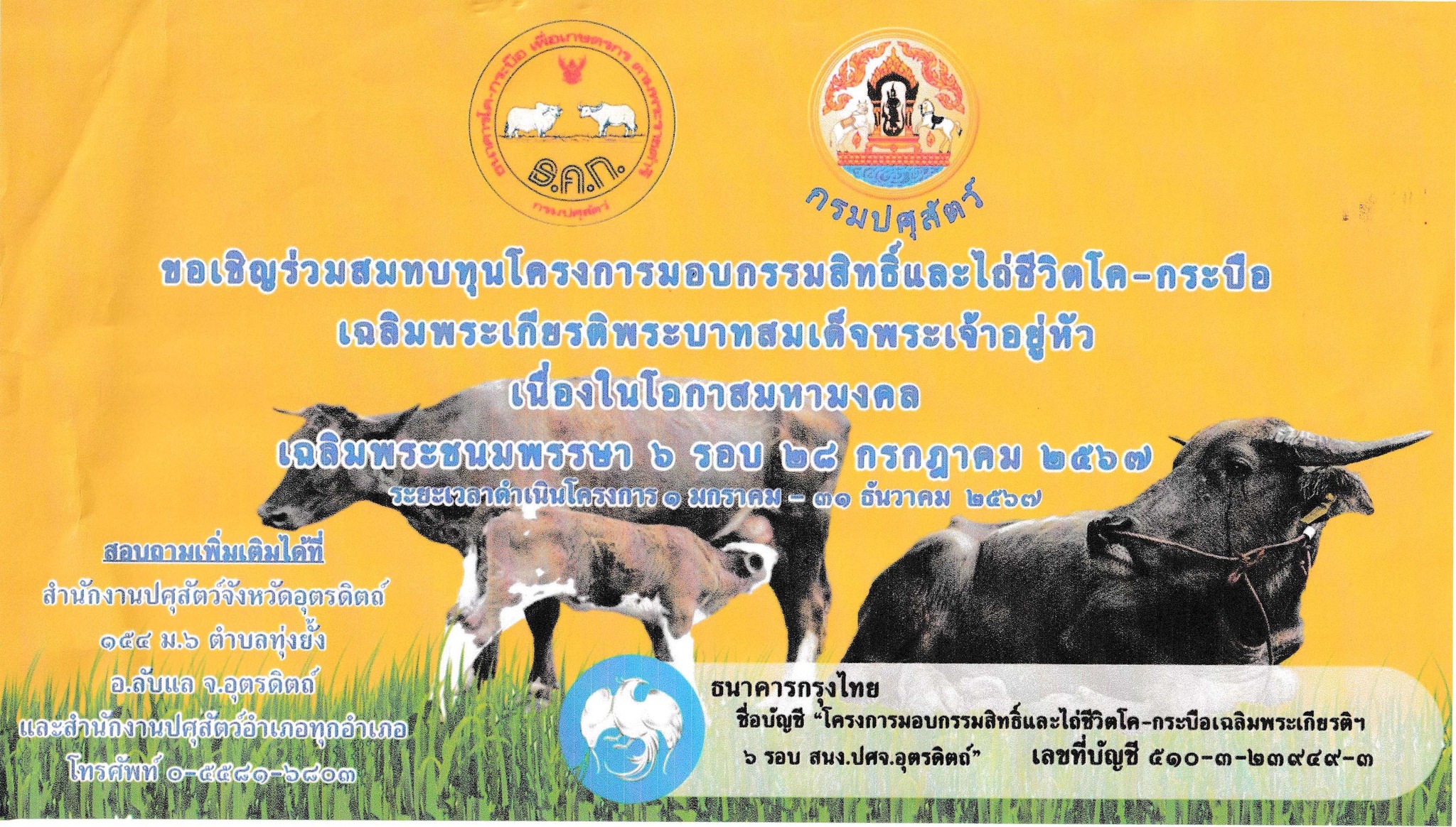 รูปภาพหน้าปก 38ef875b-61f9-4ed9-92b9-2c4f5ec9c22f