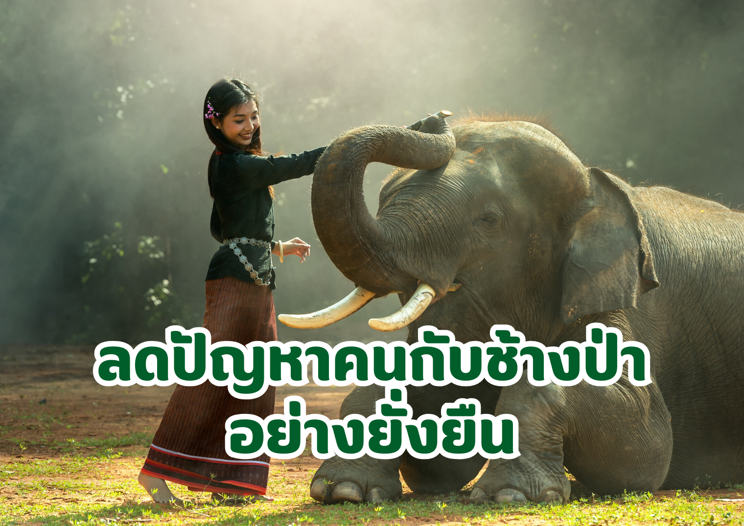รูปภาพหน้าปก a5af17ee-a062-4234-a0f1-fa2e976f76c8