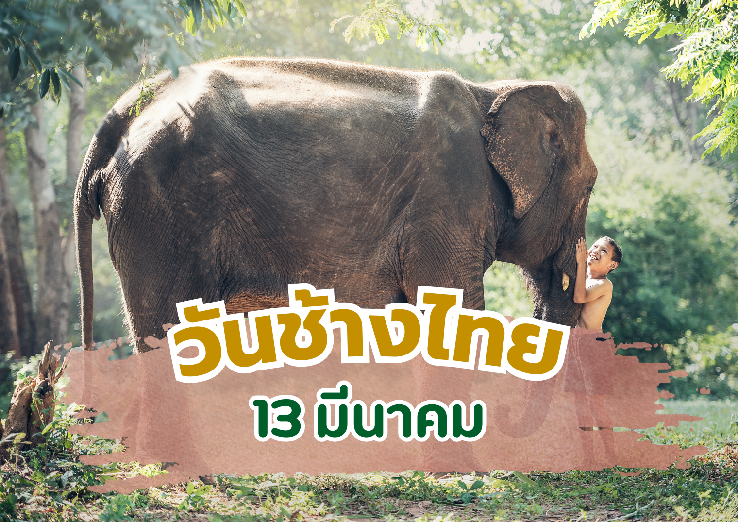 รูปภาพหน้าปก e5c6f1c5-711a-4d23-ab06-7f4c61f1a335