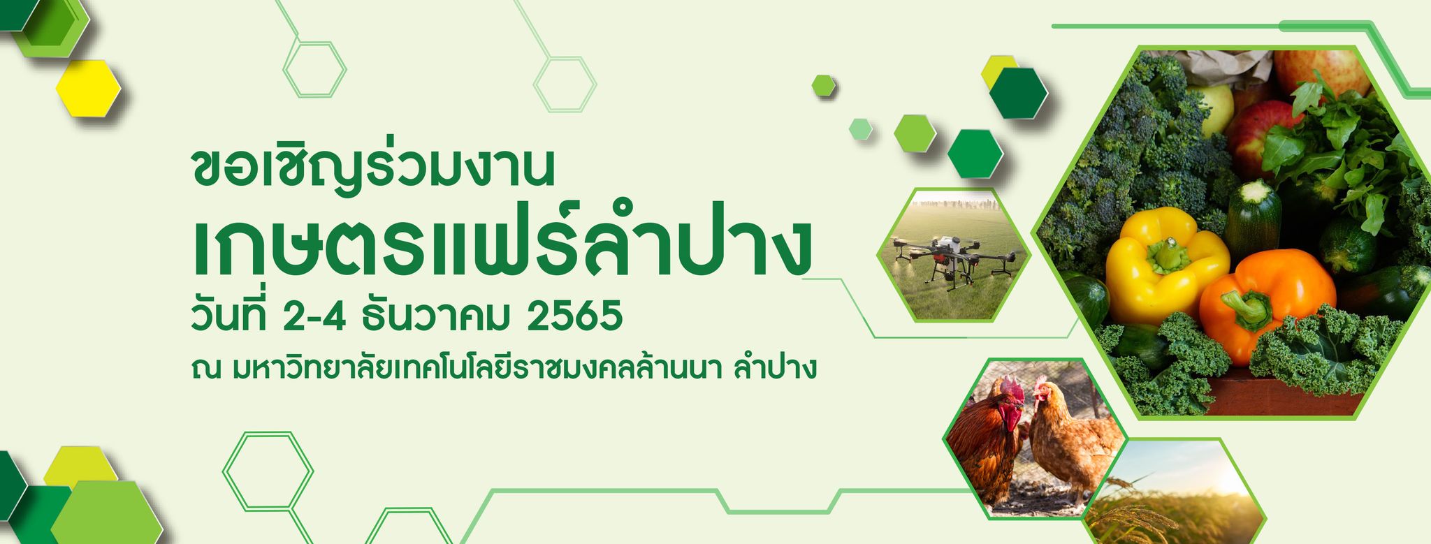 รูปภาพหน้าปก 6a80286f-0d0d-49b4-84cd-44919376d926
