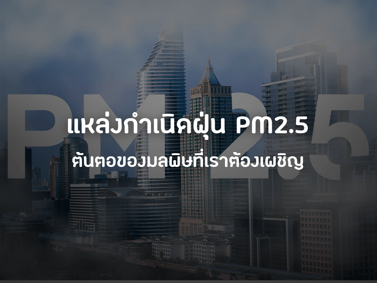 รูปภาพหน้าปก 4a44c339-510b-4137-8ed3-92467436e12a