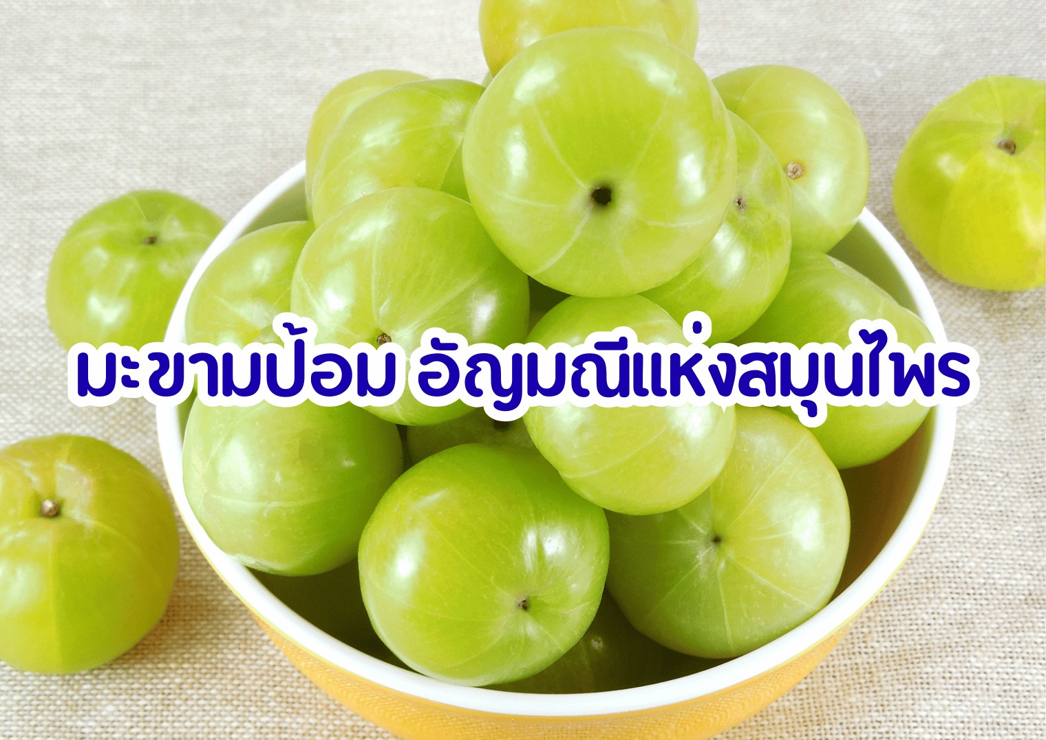 รูปภาพหน้าปก 1da88302-7e96-4688-9a83-b6ebe20bc1bd