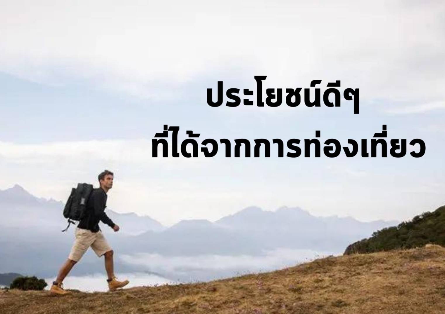 รูปภาพหน้าปก d599b5a7-da8d-4410-9059-54cd81c11df1