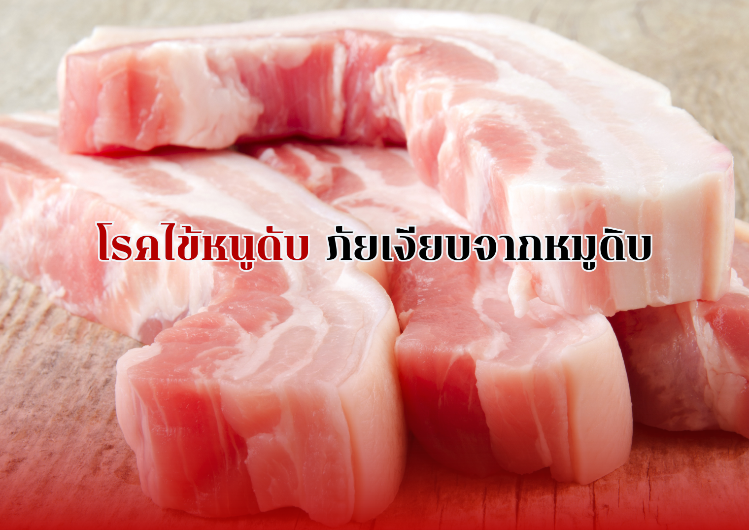 รูปภาพหน้าปก 2e28ad66-a32d-4ea8-bfc1-495695e52487