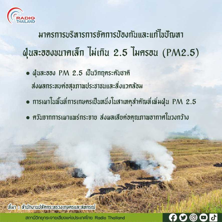 รูปภาพหน้าปก 3479535f-79c5-4635-8bb1-463d3b1f9791