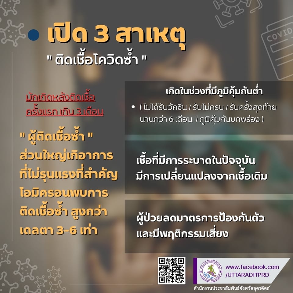 รูปภาพหน้าปก 98e6a873-8fc7-4345-967b-f0dea0c6359e