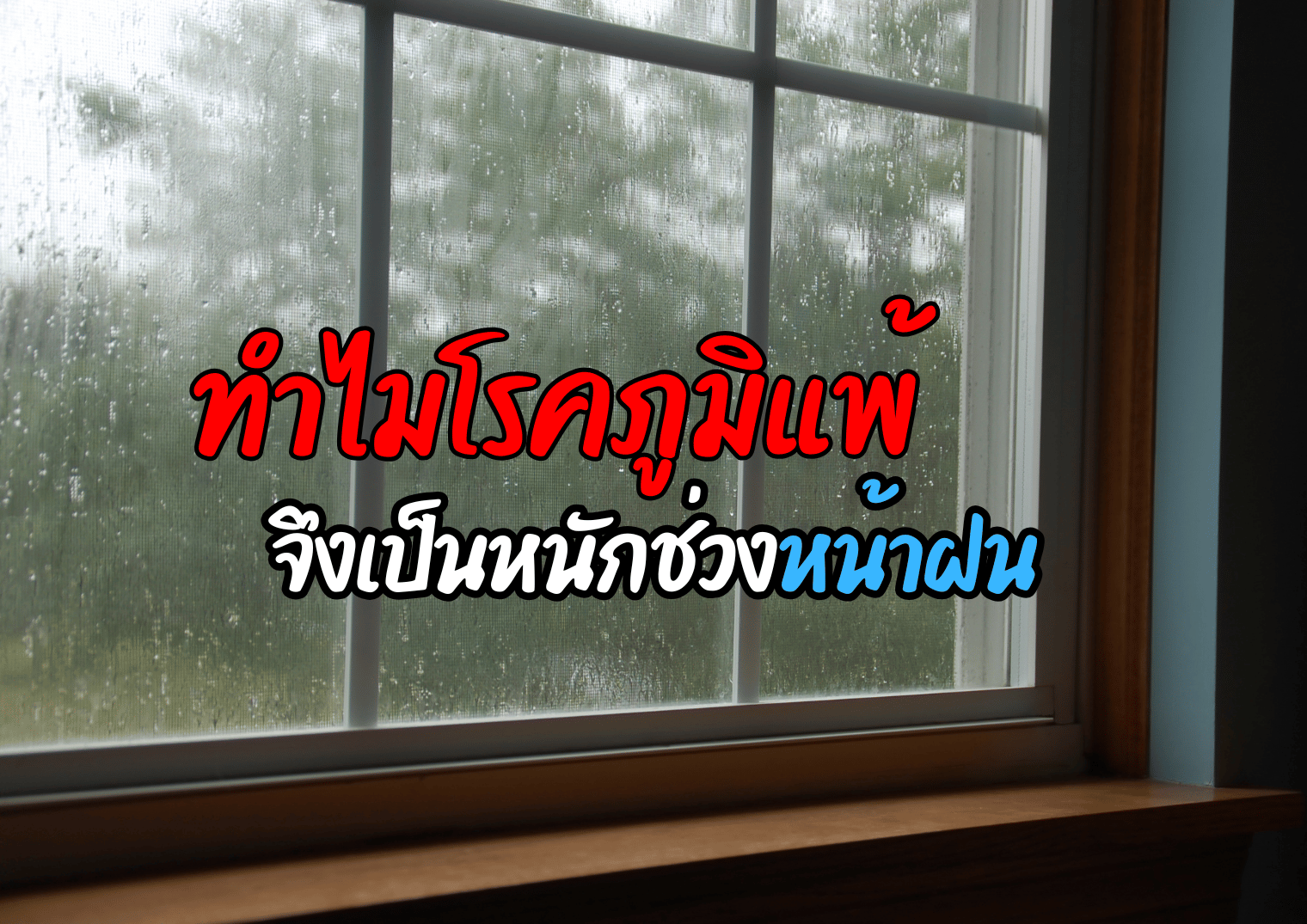 รูปภาพหน้าปก 57a5b454-877b-439b-8d64-baf899d6137d