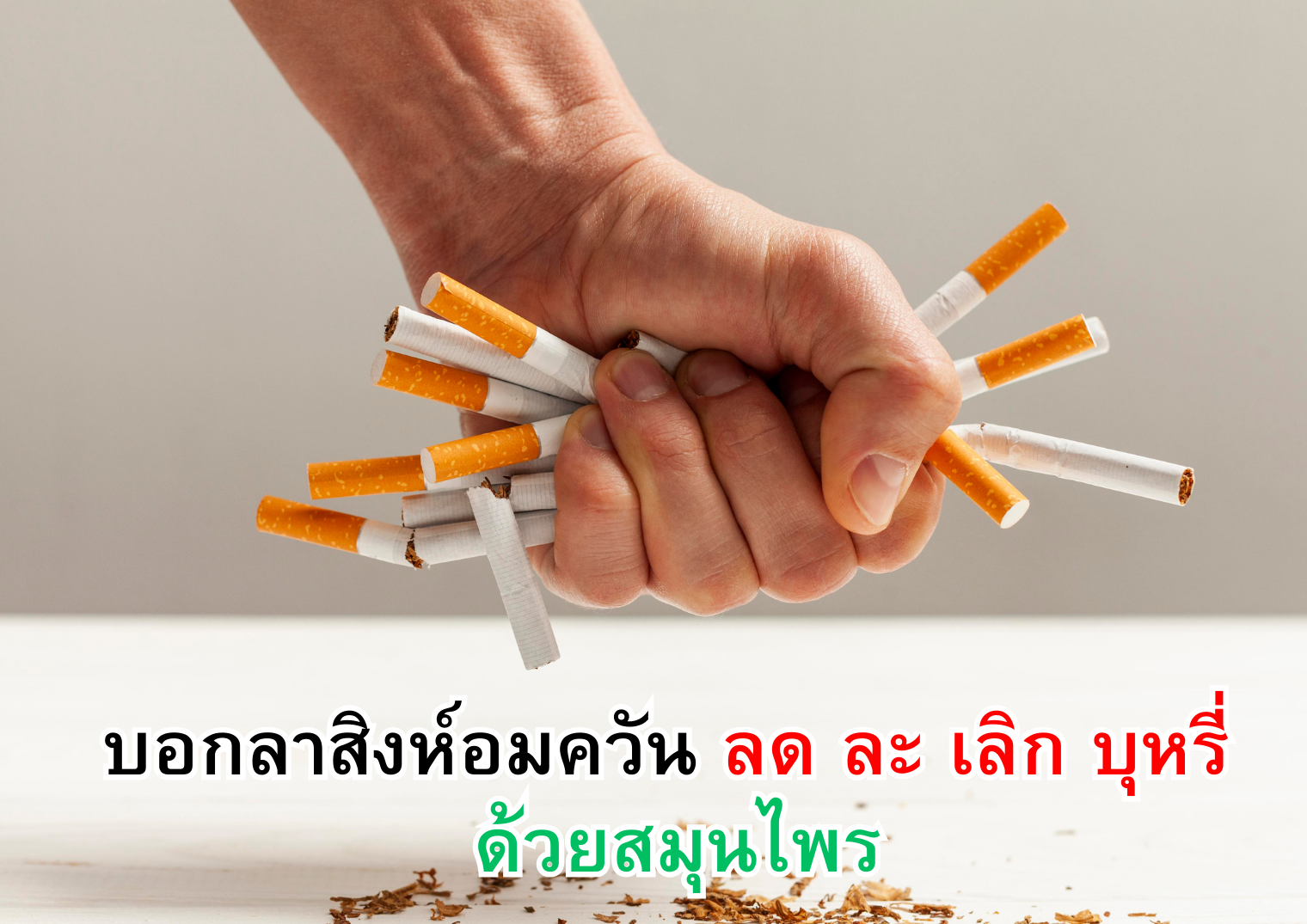 รูปภาพหน้าปก 77eb2898-9dfe-48df-9cec-c55421f0e41c