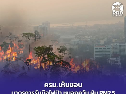 รูปภาพหน้าปก 363e0d62-04c6-4708-968b-53d16be838c4