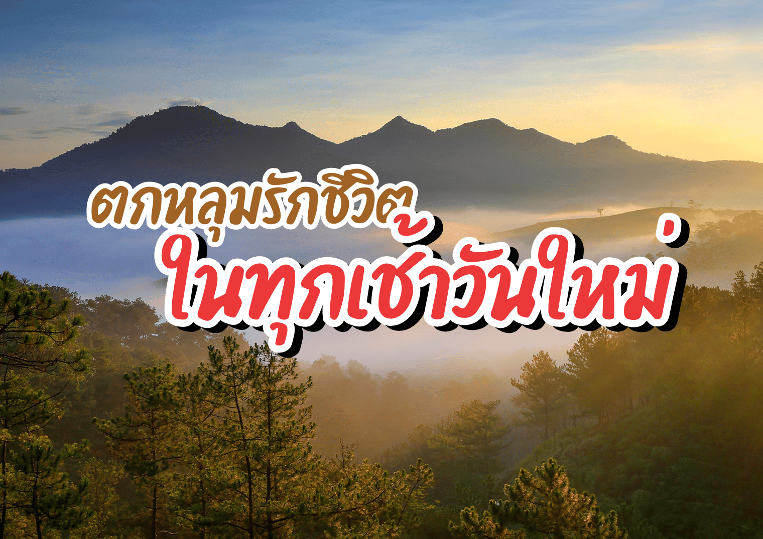 รูปภาพหน้าปก 19c82a54-698f-4820-81f6-c6bc06598f8d
