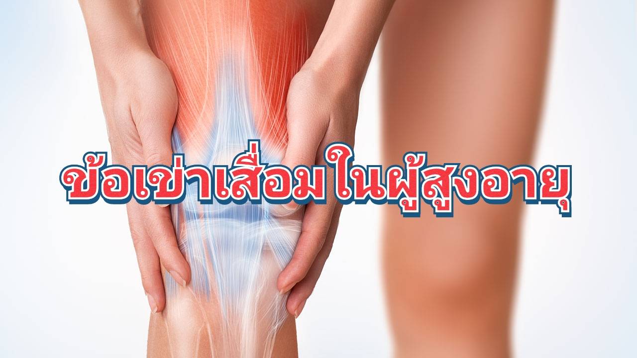 รูปภาพหน้าปก 19bc932d-2809-4b07-8670-46b02ec9aa74