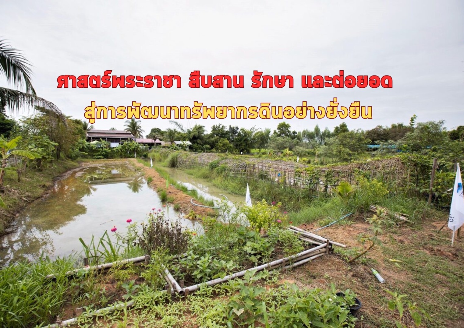 รูปภาพหน้าปก 3b3f0ecd-5b26-4bdb-ba62-8f5e6f42a84d