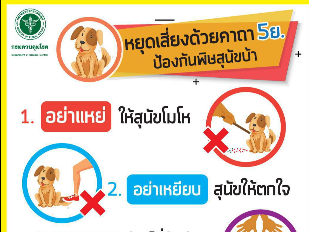 รูปภาพหน้าปก d7d31bf1-c98f-429d-9bdc-6abb5ea6e900