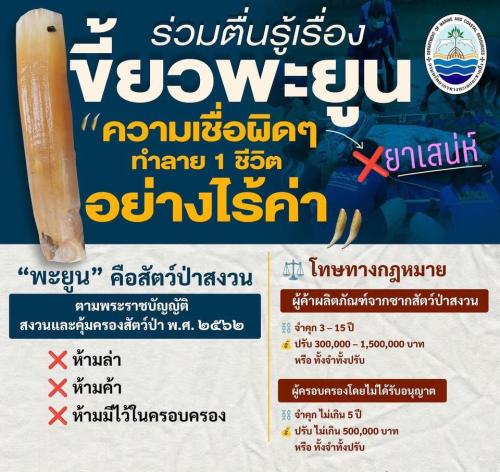รูปภาพหน้าปก 93d10f7c-dd08-4940-a8af-d486f4c0fa7f