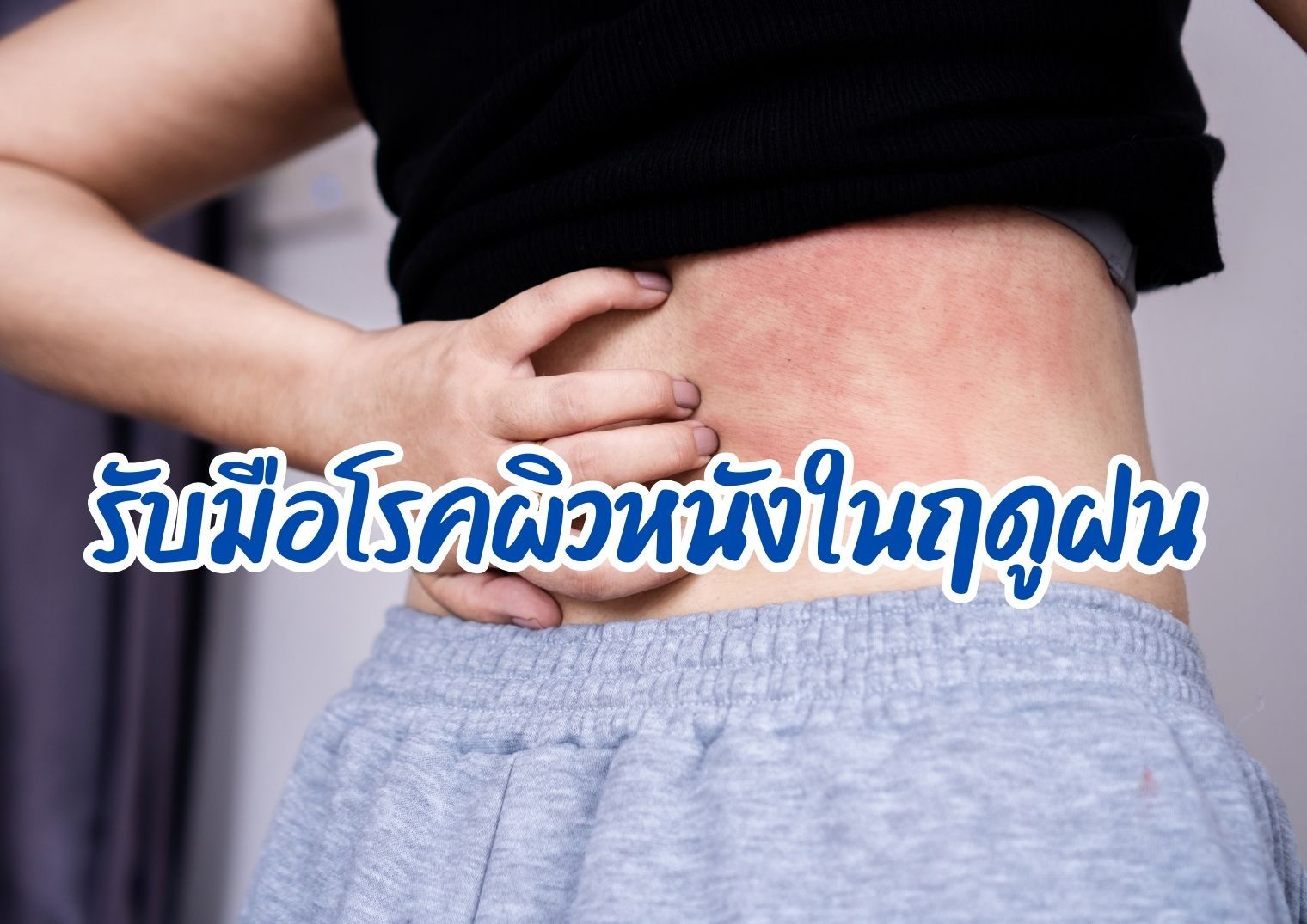 รูปภาพหน้าปก a6e2c30f-3710-41c1-8f99-5f9e3178fcfd