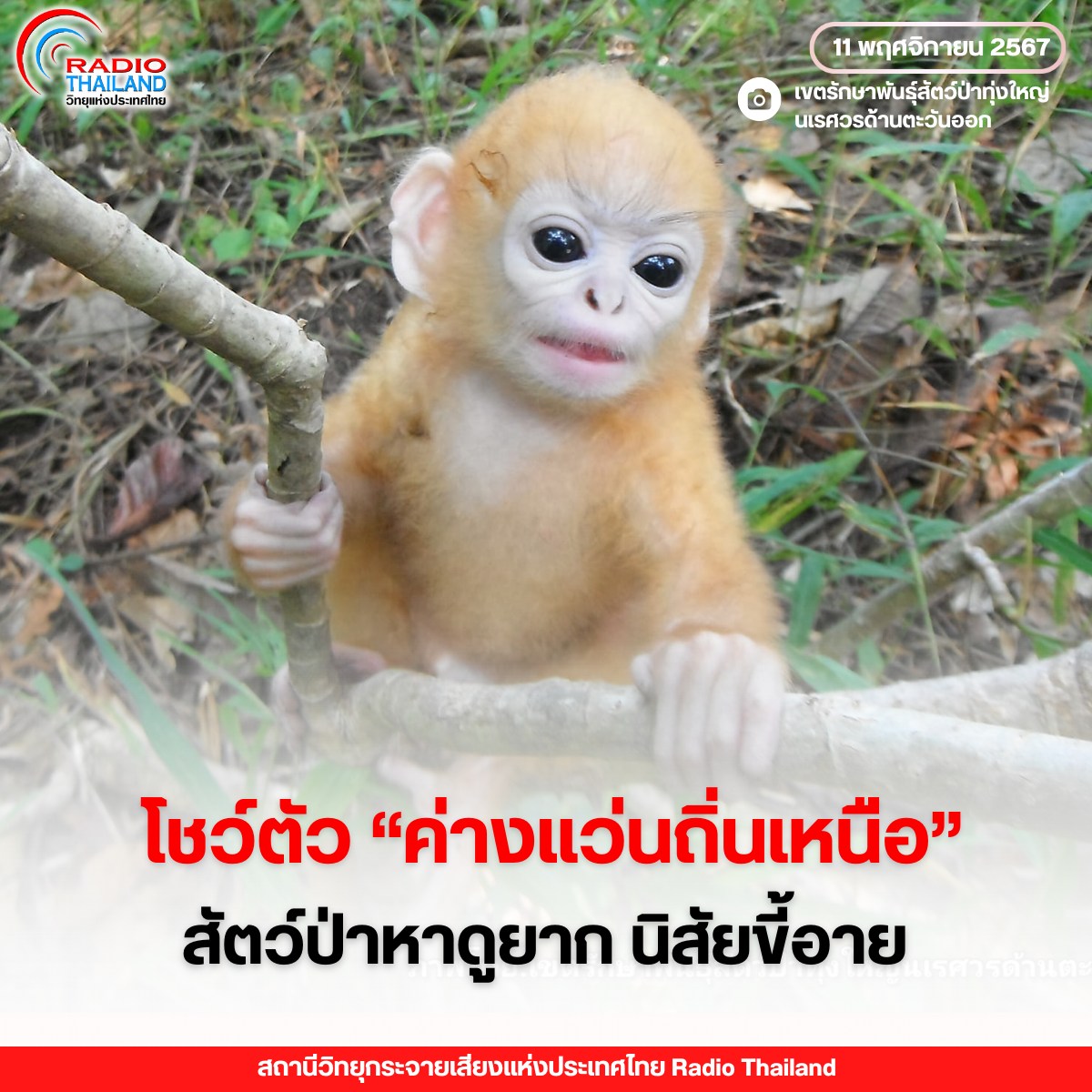 รูปภาพหน้าปก 936b1865-595f-4910-aae6-866442bbb4b7