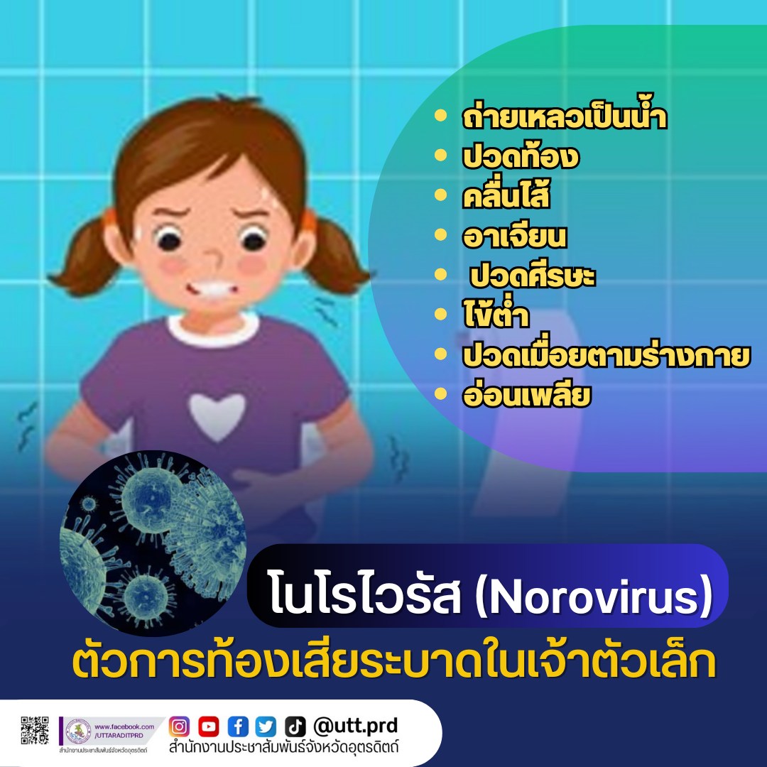 รูปภาพหน้าปก bc43b60c-fe2d-4c9b-8316-f60afdc7a3e6