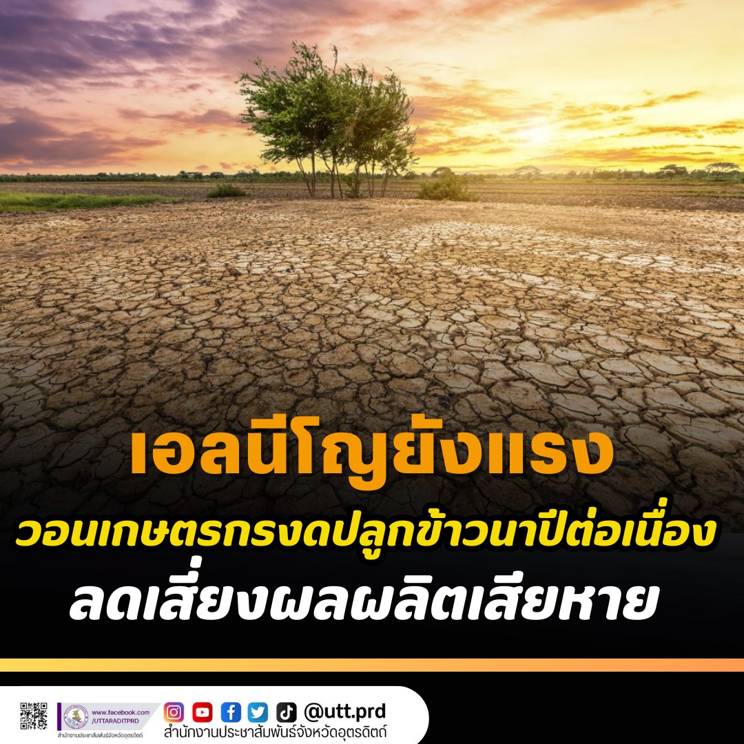 รูปภาพหน้าปก 3f7dbd2e-f838-49a2-bf8d-f84b82cc98f9
