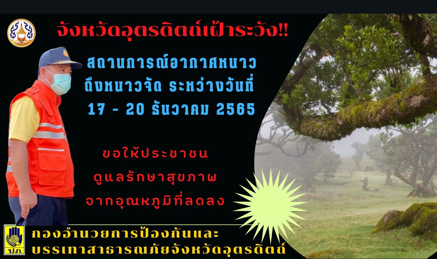 รูปภาพหน้าปก 0fa95284-6d3a-4d09-abbf-865e9700e226
