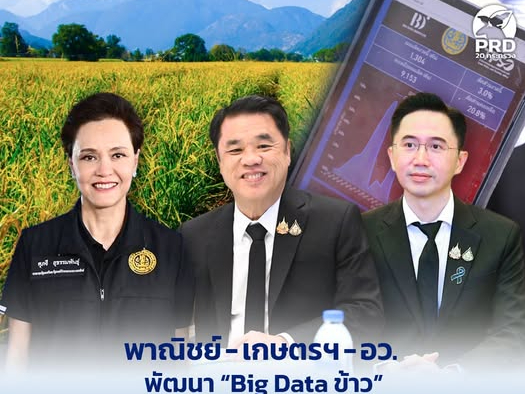 รูปภาพหน้าปก ec688cbd-8f85-44d2-a081-26d0afc0e835