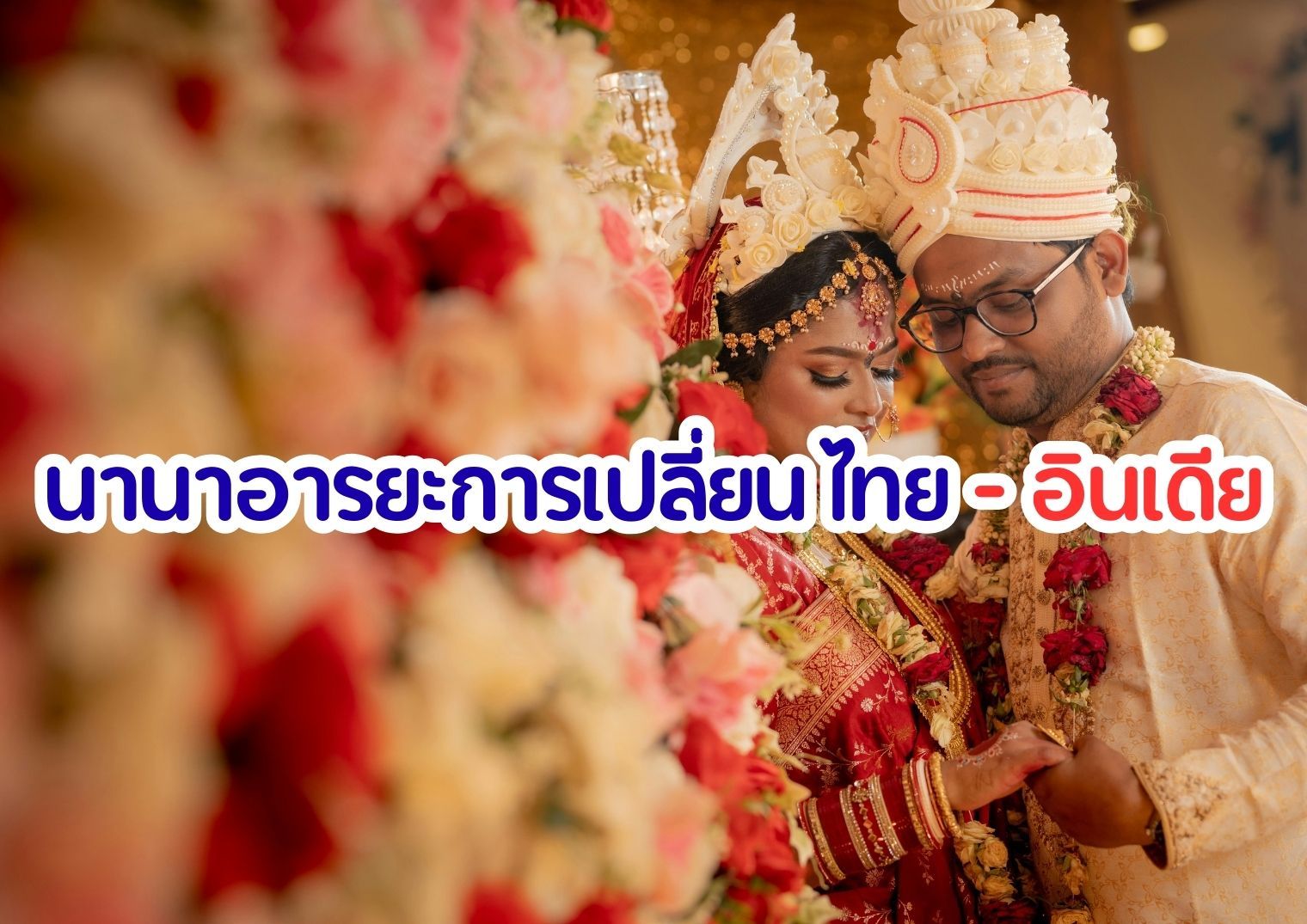 รูปภาพหน้าปก 181046ba-a091-44dd-84af-051c0395a78c