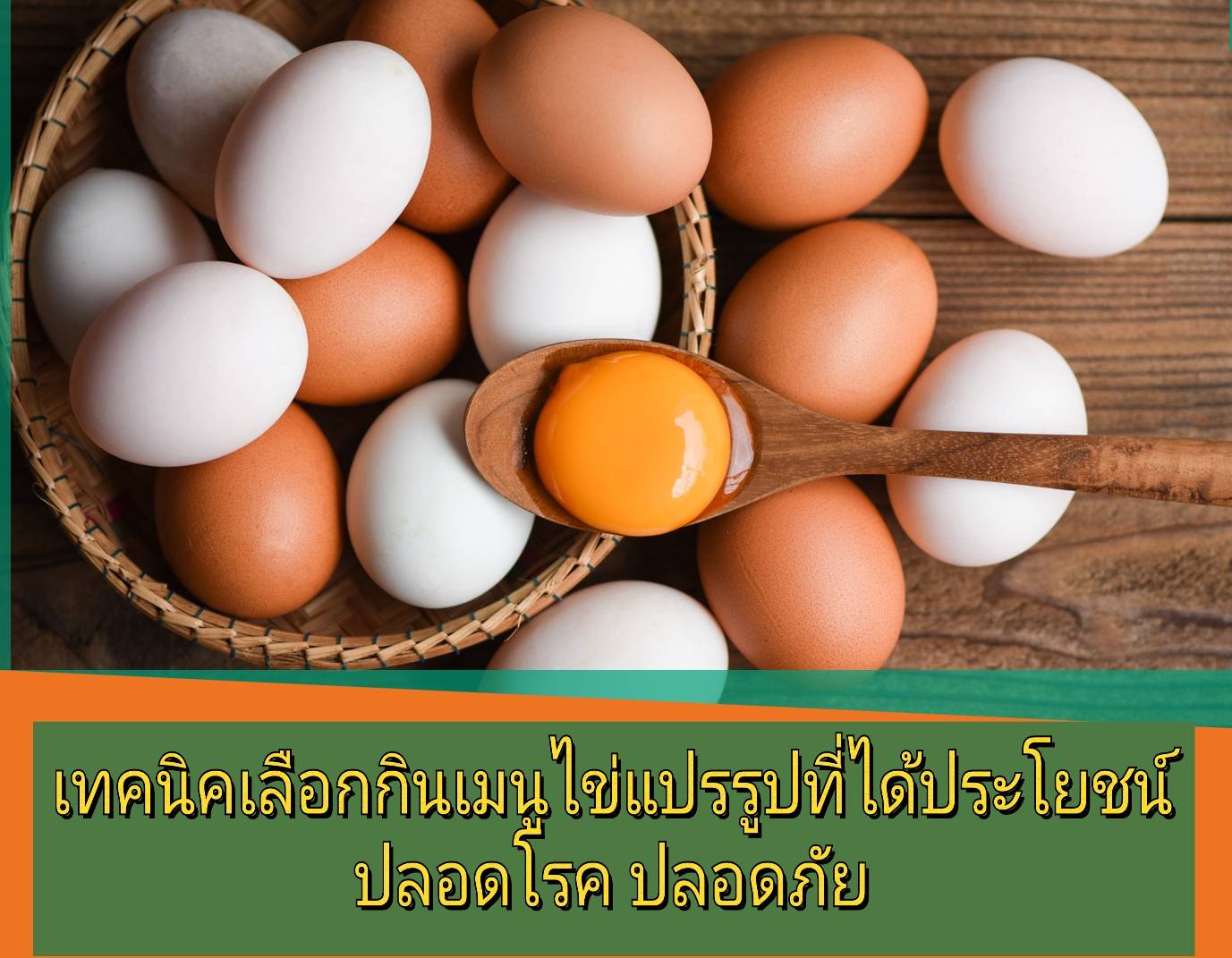 รูปภาพหน้าปก dba0519e-62ba-46dd-ad92-a31fcec627ed