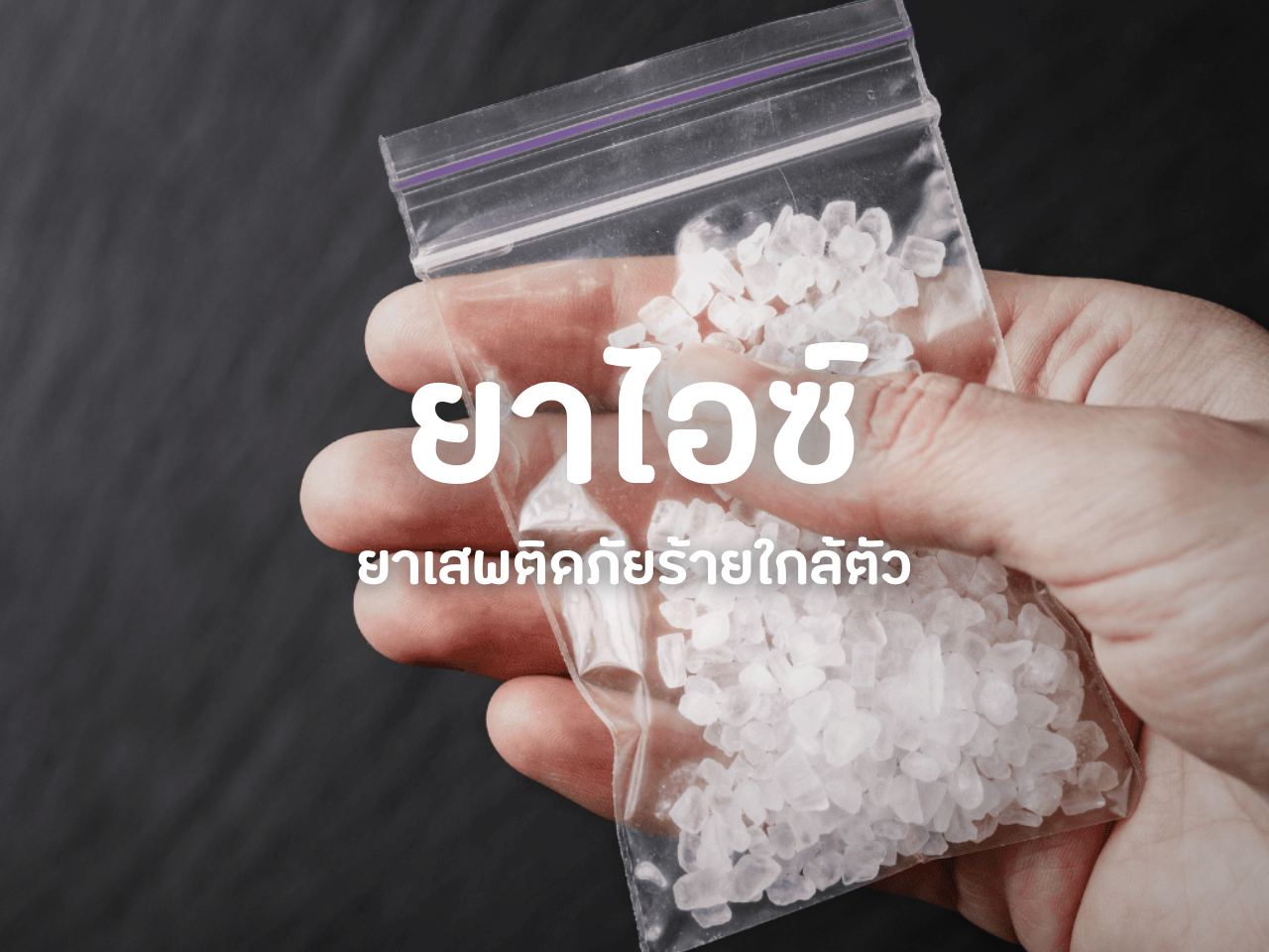 รูปภาพหน้าปก 07540b7a-d269-4bb4-9b4f-138baf29003e