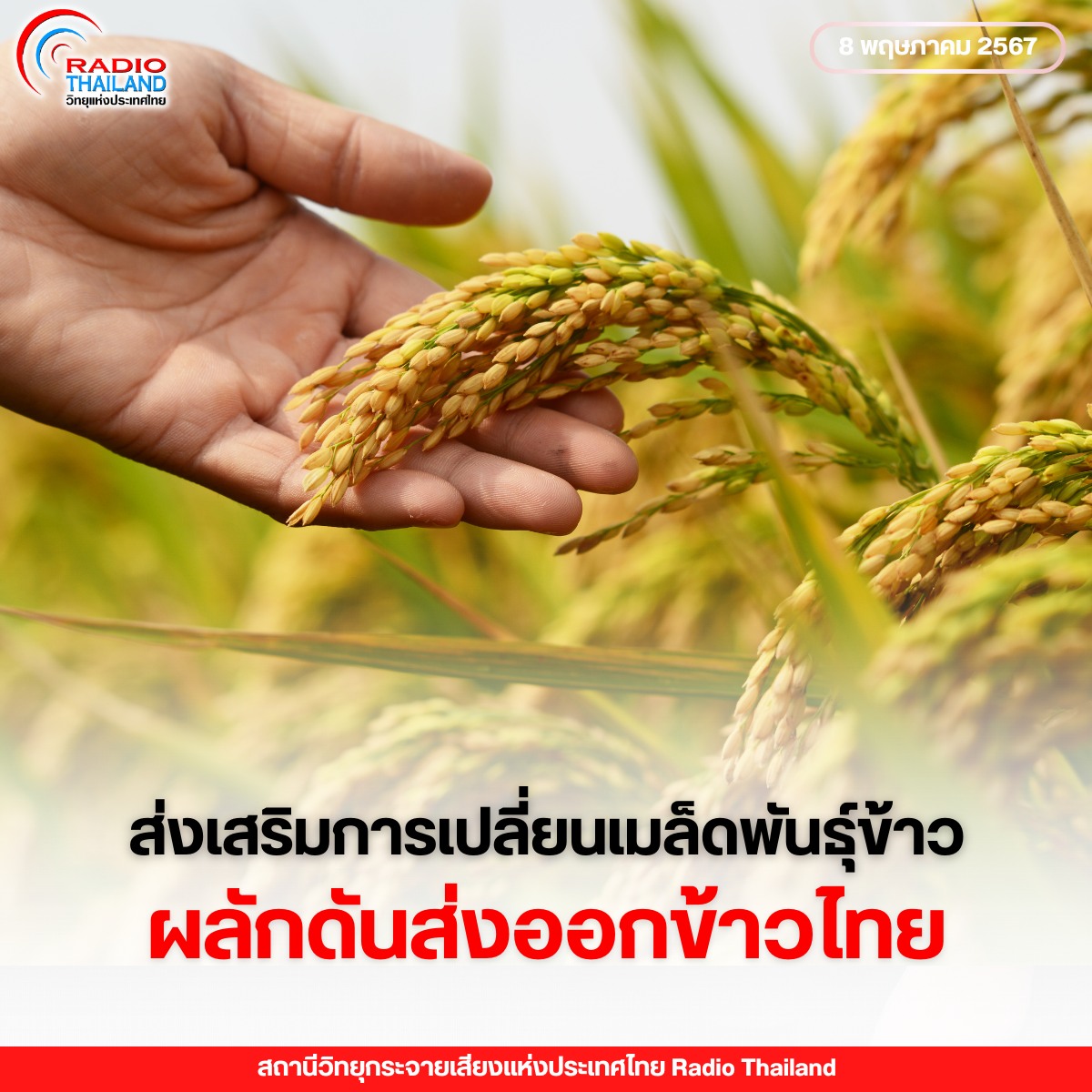 รูปภาพหน้าปก 26977e63-6cbd-439d-bcf3-1d4ffd399b40