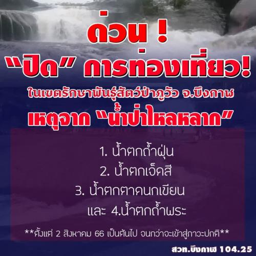 รูปภาพหน้าปก 80be37c3-80a2-400e-af07-8e27cf65c693