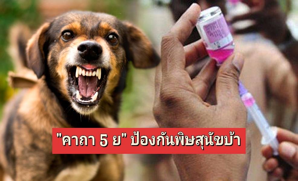 รูปภาพหน้าปก e82279e6-a7f9-4d3c-97c1-bc8b1dce946a