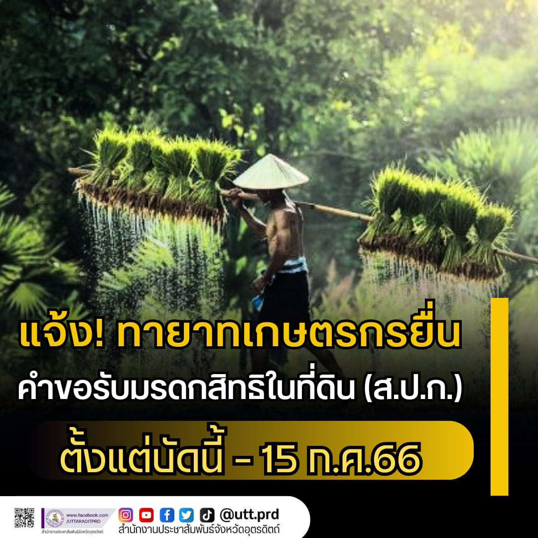 รูปภาพหน้าปก ce485373-5350-4631-ae3b-e0e8fec98410