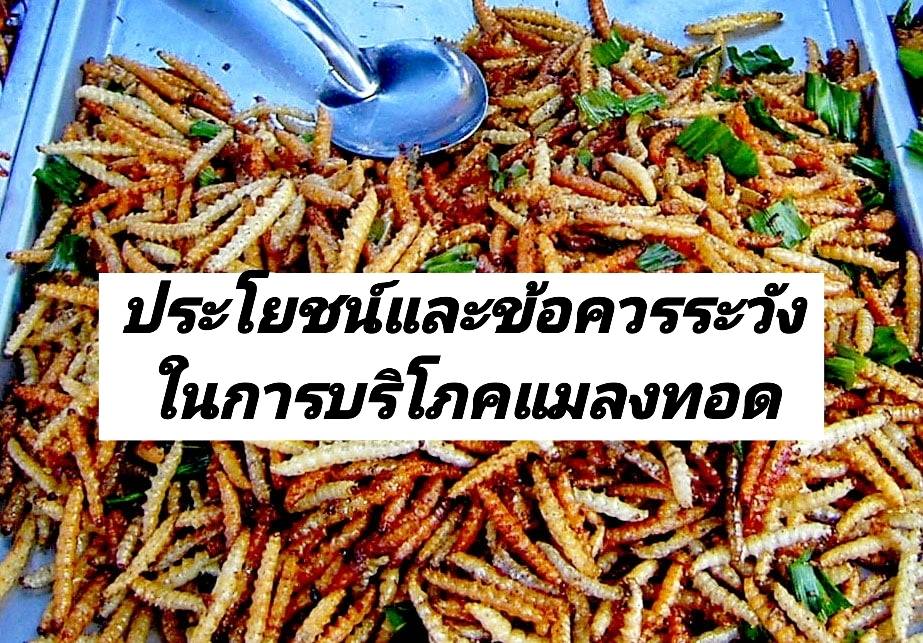 รูปภาพหน้าปก 5d06bdeb-4c2b-4b73-979b-0a10be4c888f