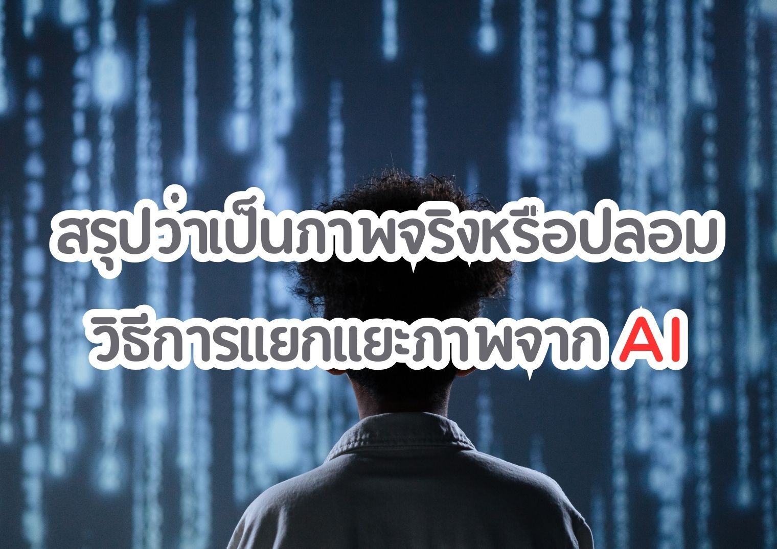 รูปภาพหน้าปก aec54582-5ede-4dad-8cb4-79cfb390dceb