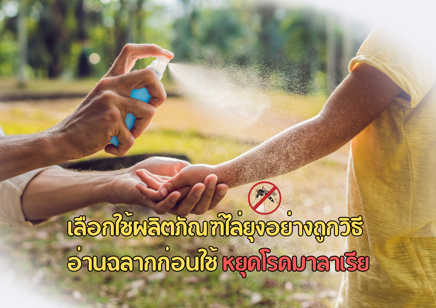รูปภาพหน้าปก 250683df-e214-485d-b8e5-2e6734d60027