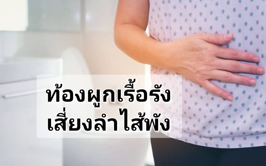 รูปภาพหน้าปก 6d99ad32-c626-4302-bc34-02d53a7eac80