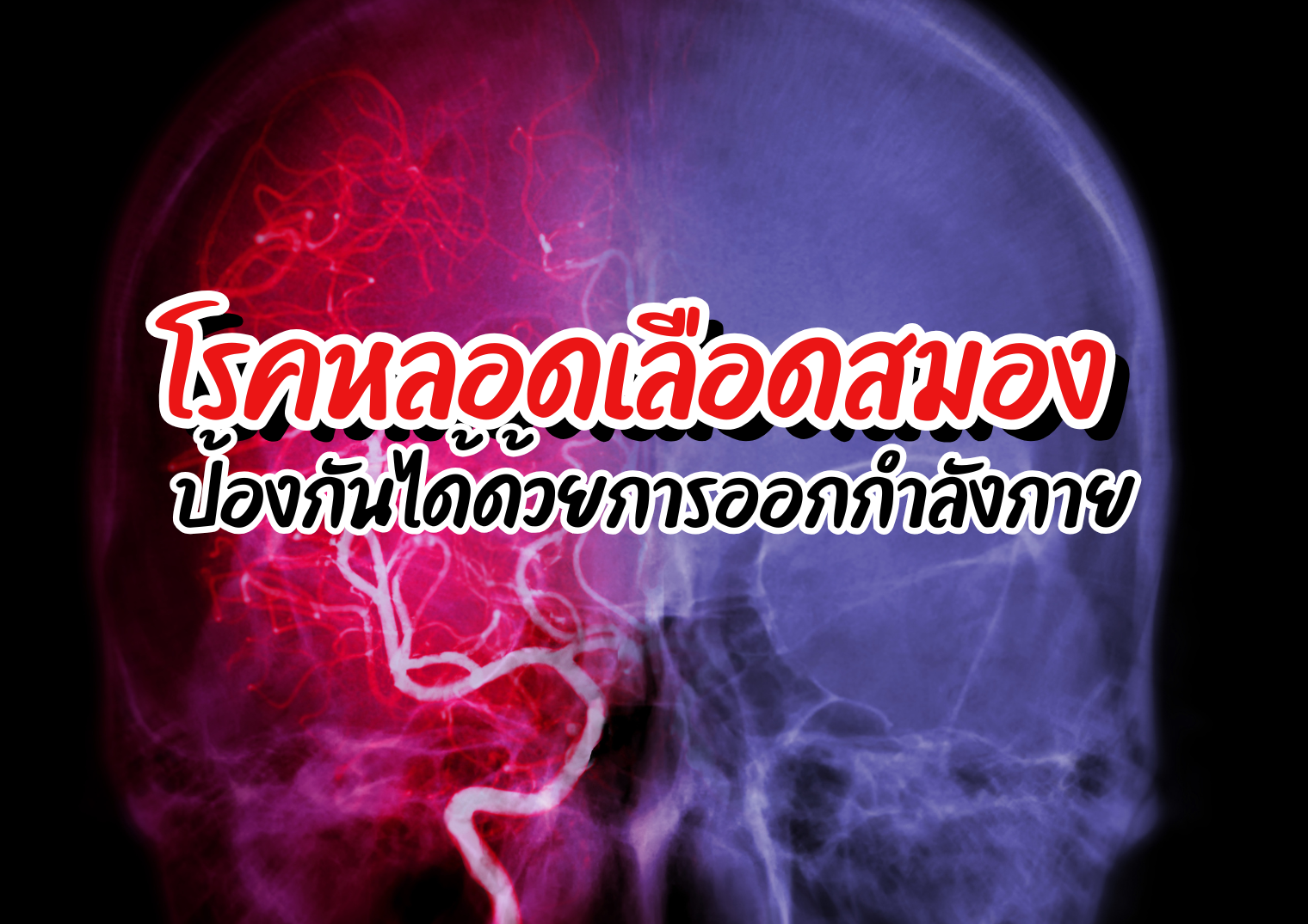 รูปภาพหน้าปก 868e4d22-ce81-43cc-a11d-8f4b21b0aee4