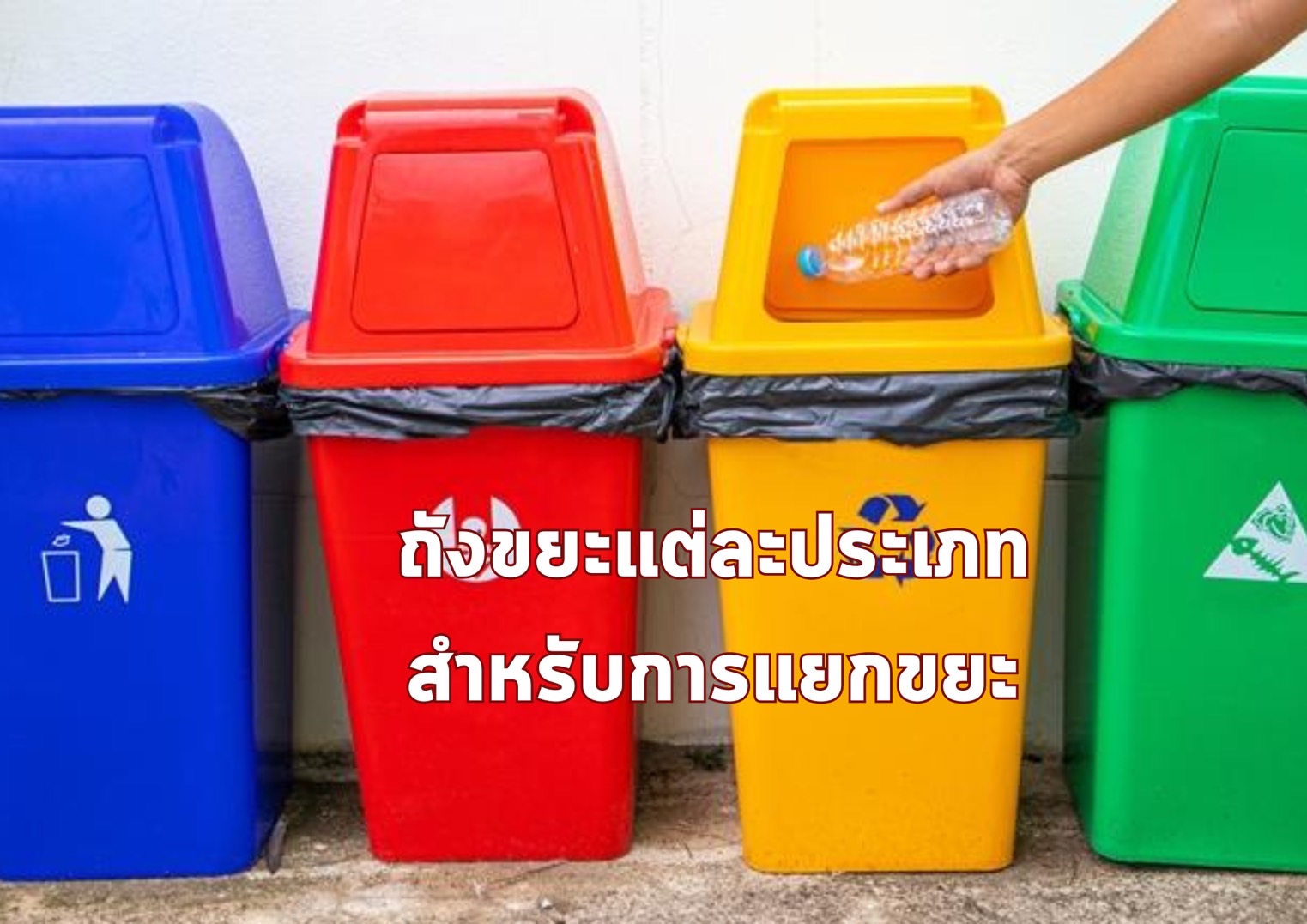 รูปภาพหน้าปก 34a98f82-b5e5-40de-9721-2e41481e8d17