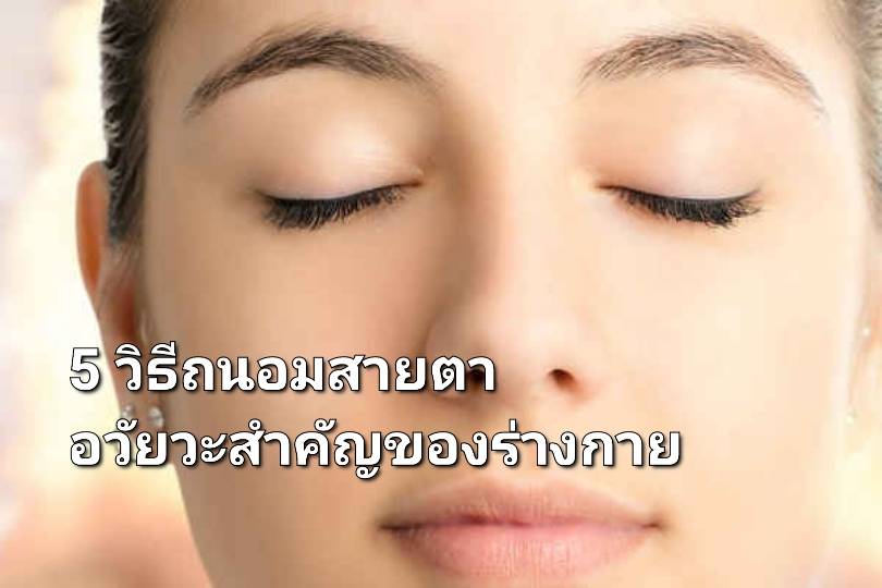 รูปภาพหน้าปก 77f7c489-2b32-49df-860c-9740ba761a83