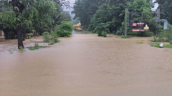 รูปภาพหน้าปก 1c38e786-2653-4f3f-90ec-6dc24b7ad63f