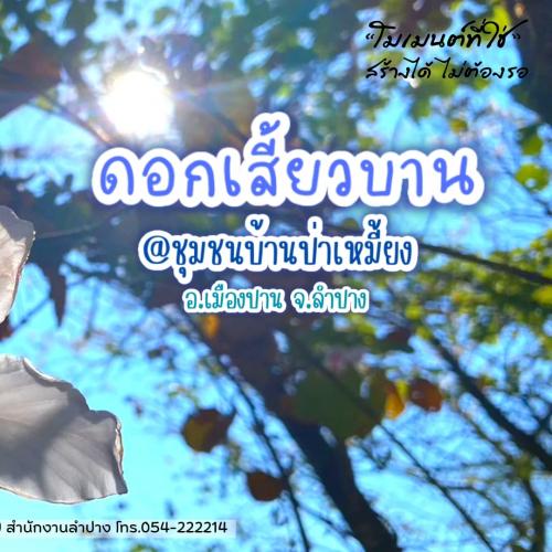 รูปภาพหน้าปก 1e5208ed-206b-46a3-8695-d97548a5c104