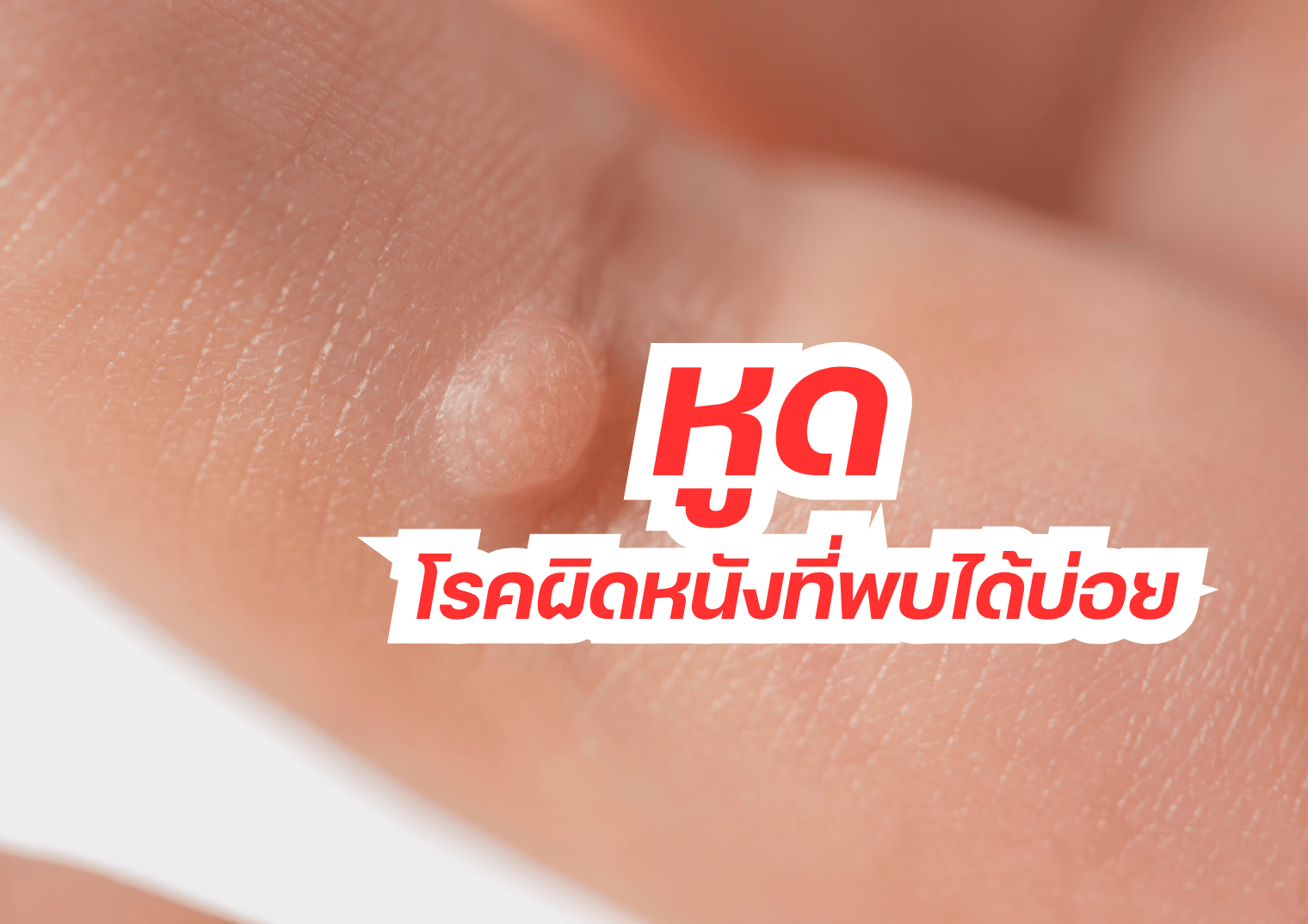 รูปภาพหน้าปก 20d64b1d-1146-48bf-89cf-b88edbb412af