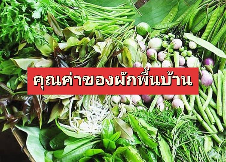 รูปภาพหน้าปก 05cd15f7-9b0c-44d7-9708-ab957a2396fb