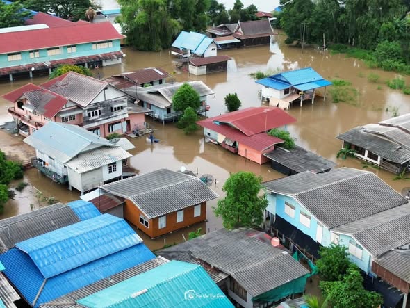 รูปภาพหน้าปก 76bcc510-5588-42a9-a04b-3b6f9df85861