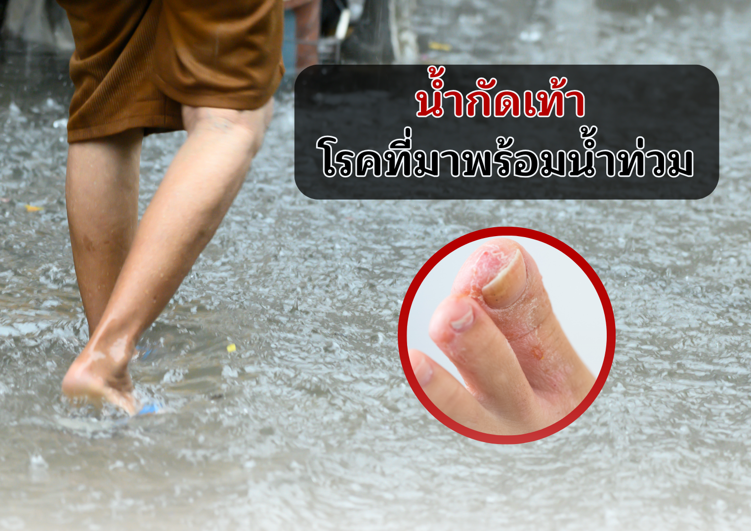 รูปภาพหน้าปก f710477d-d273-49ff-bbbe-04c84e7aa935