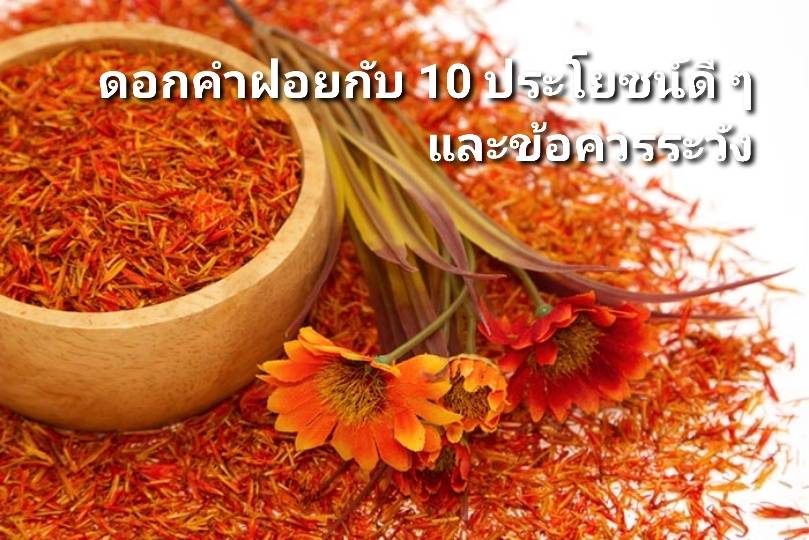 รูปภาพหน้าปก e2fa6a42-b2dd-43a3-a60b-a27036b8ef3c