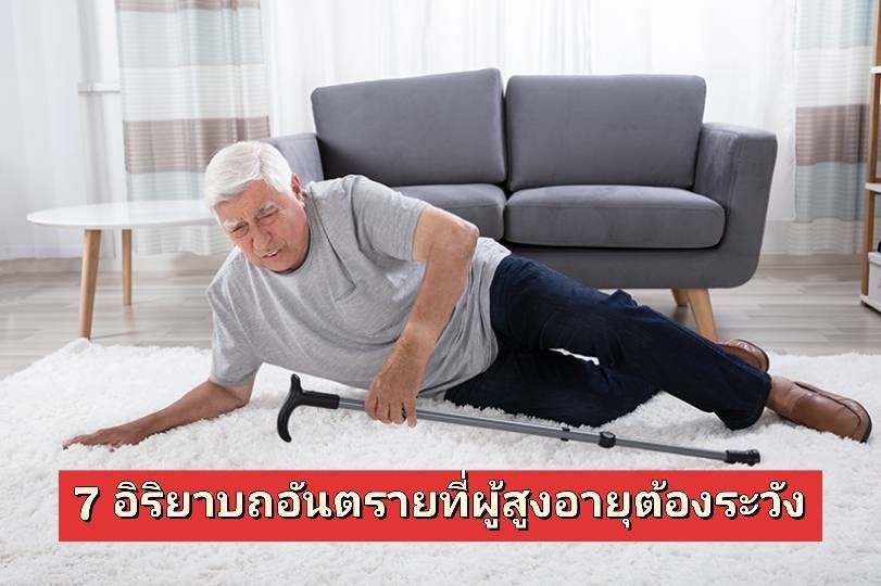 รูปภาพหน้าปก 797c44c2-e7ea-4d5a-ad7c-6f6d0f1565f3