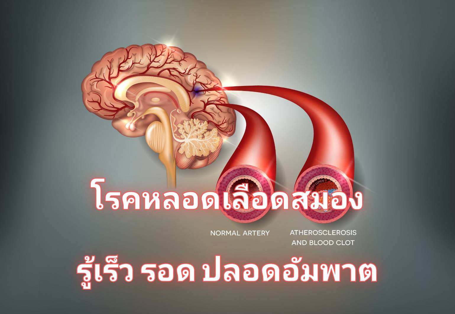 รูปภาพหน้าปก 1601e9e7-2a69-4ab1-ab2f-a75c5a9ccb3d