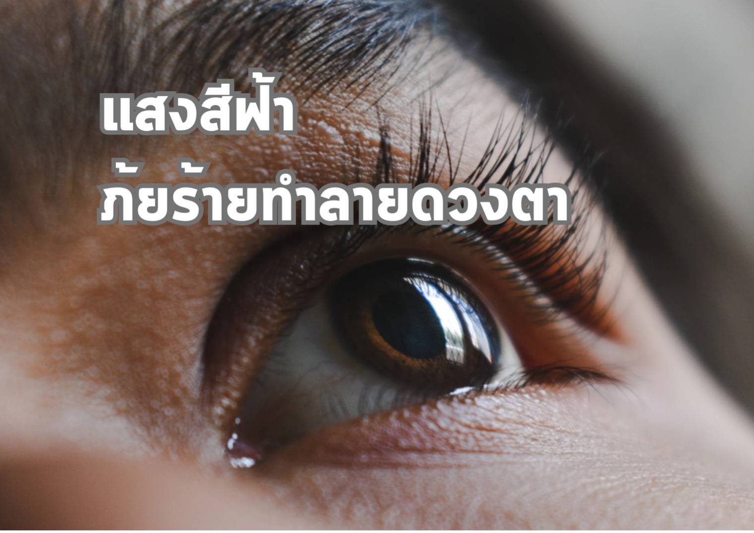 รูปภาพหน้าปก 48fc91cf-9e99-4fa8-8a42-db8c66d15f45