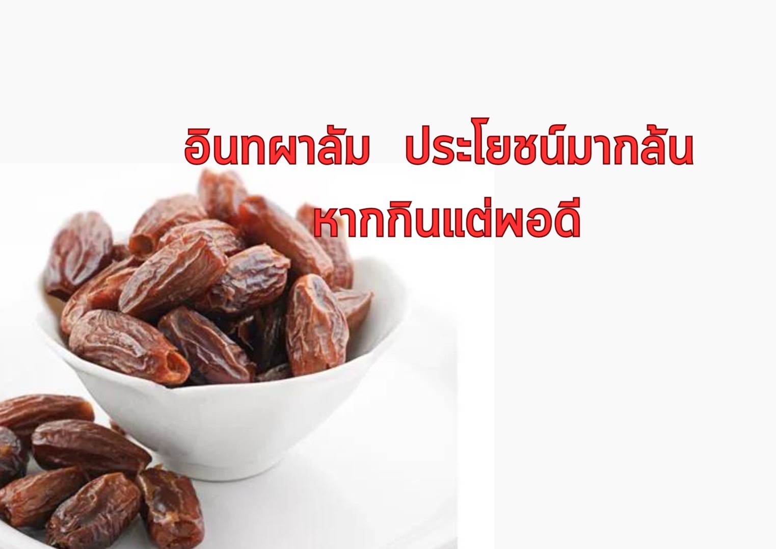 รูปภาพหน้าปก 0087b696-e8ad-4b21-a8ed-239bc60a9298