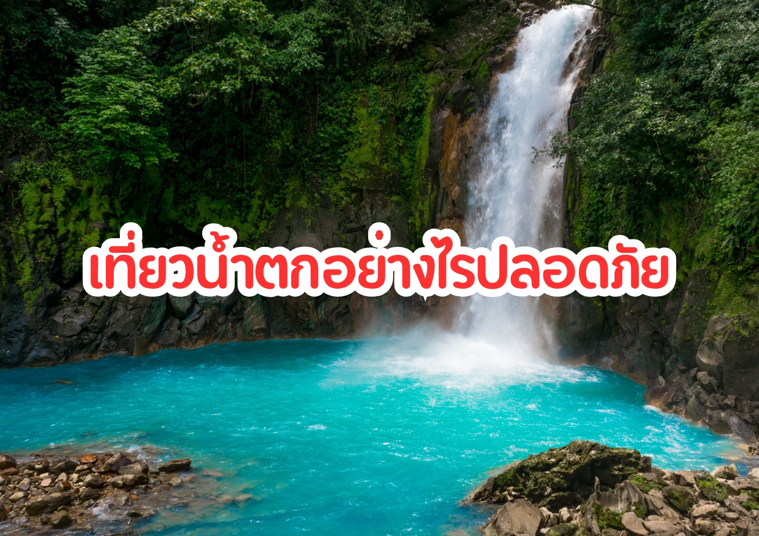 รูปภาพหน้าปก 21ce02f9-c537-49f4-aee4-7f778f26dc23